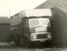The first Austin lorry bought, included paintwork to match the colours of a Hereford Bull!