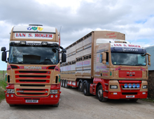 Ian S Roger's colour scheme is truly unique